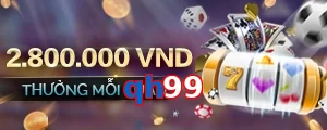 qh99