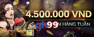 qh99