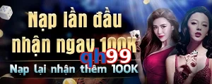 qh99